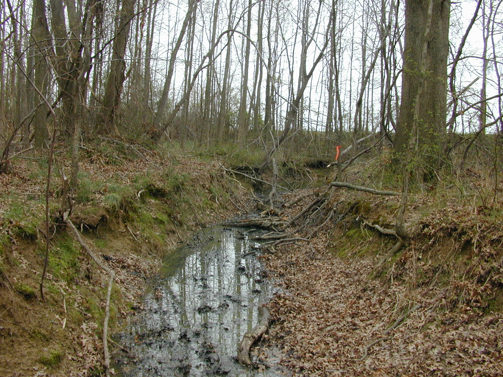 Field photo showing stream conditions at site LOCR-102-R-2002-1