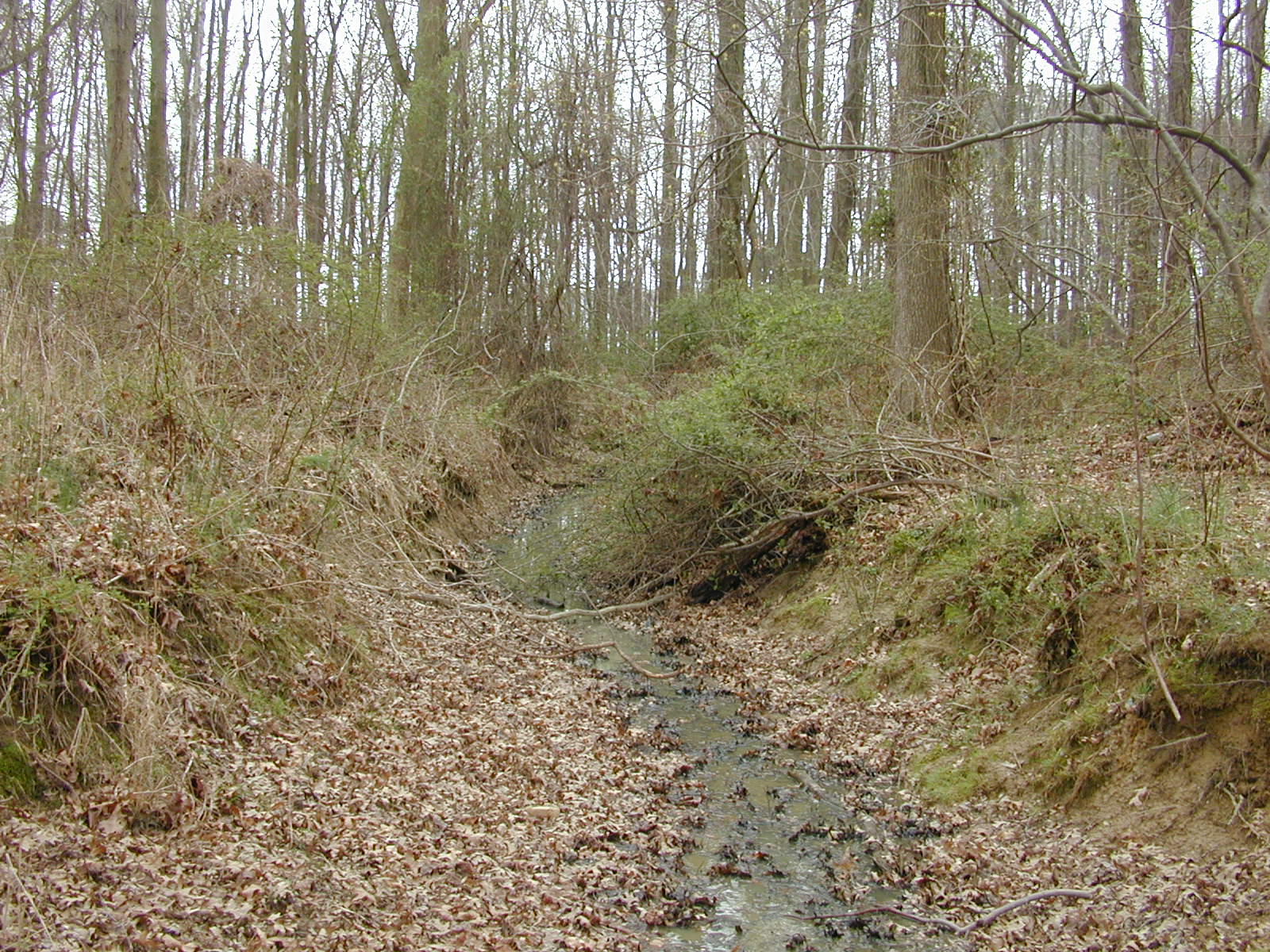 Field photo showing stream conditions at site LOCR-102-R-2002-2