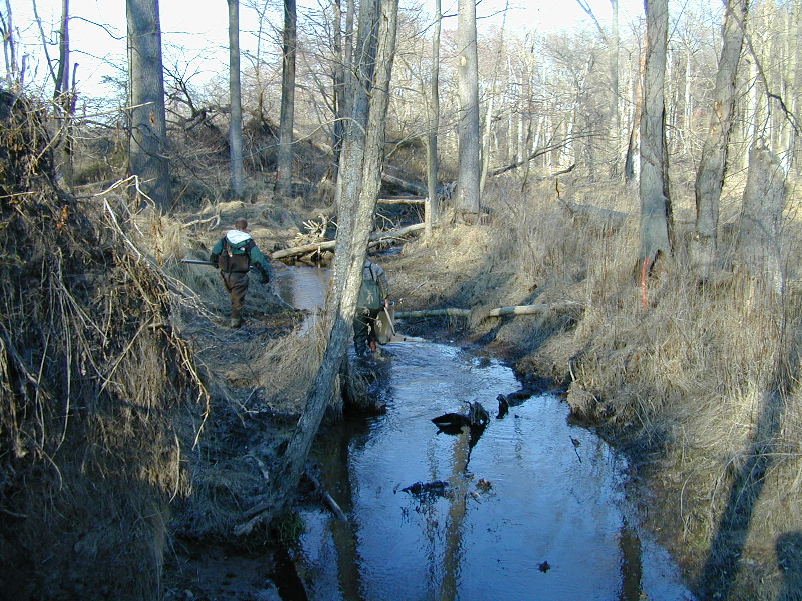 Field photo showing stream conditions at site LOCR-102-S-2001-1
