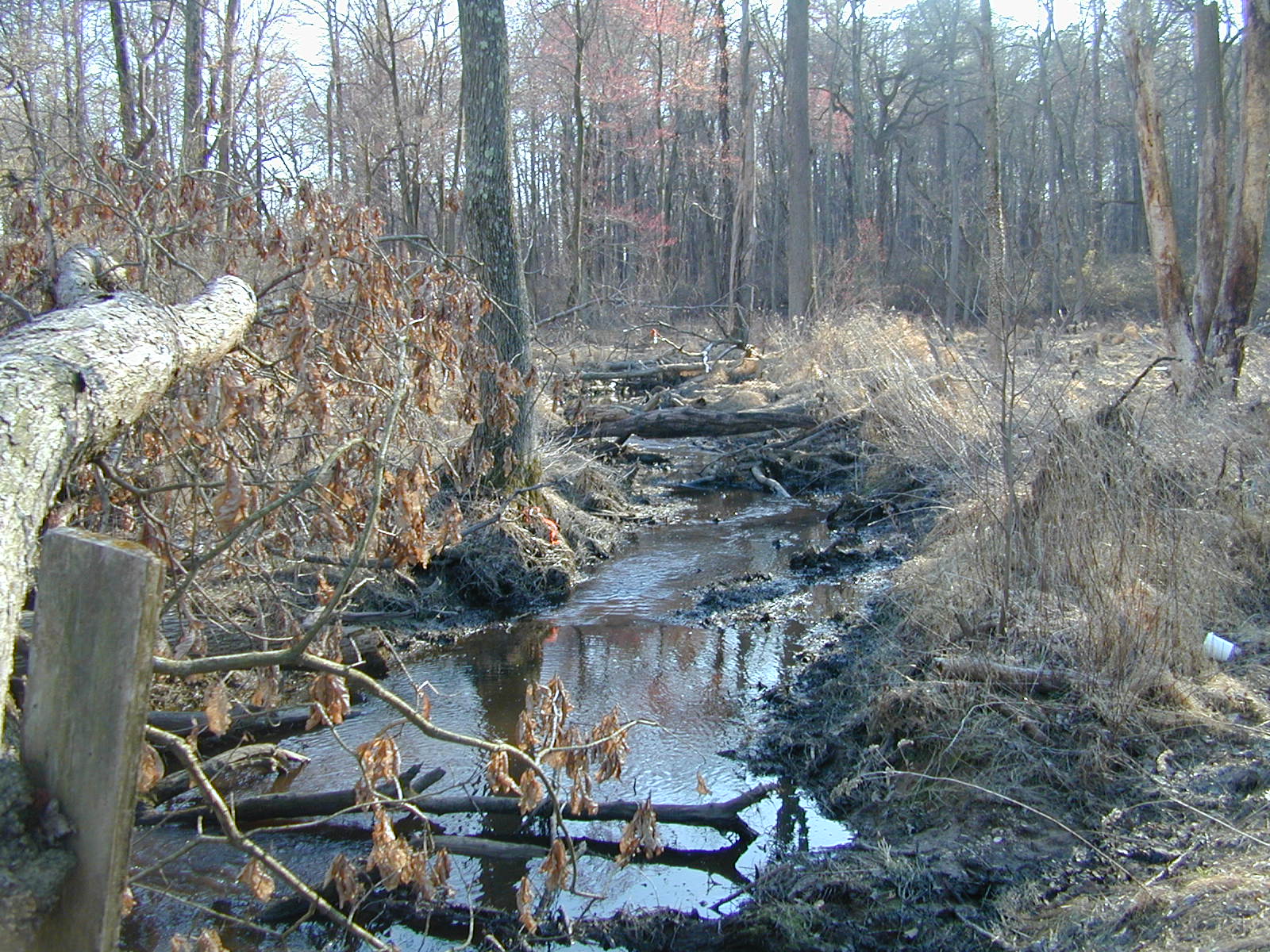 Field photo showing stream conditions at site LOCR-102-S-2001-2