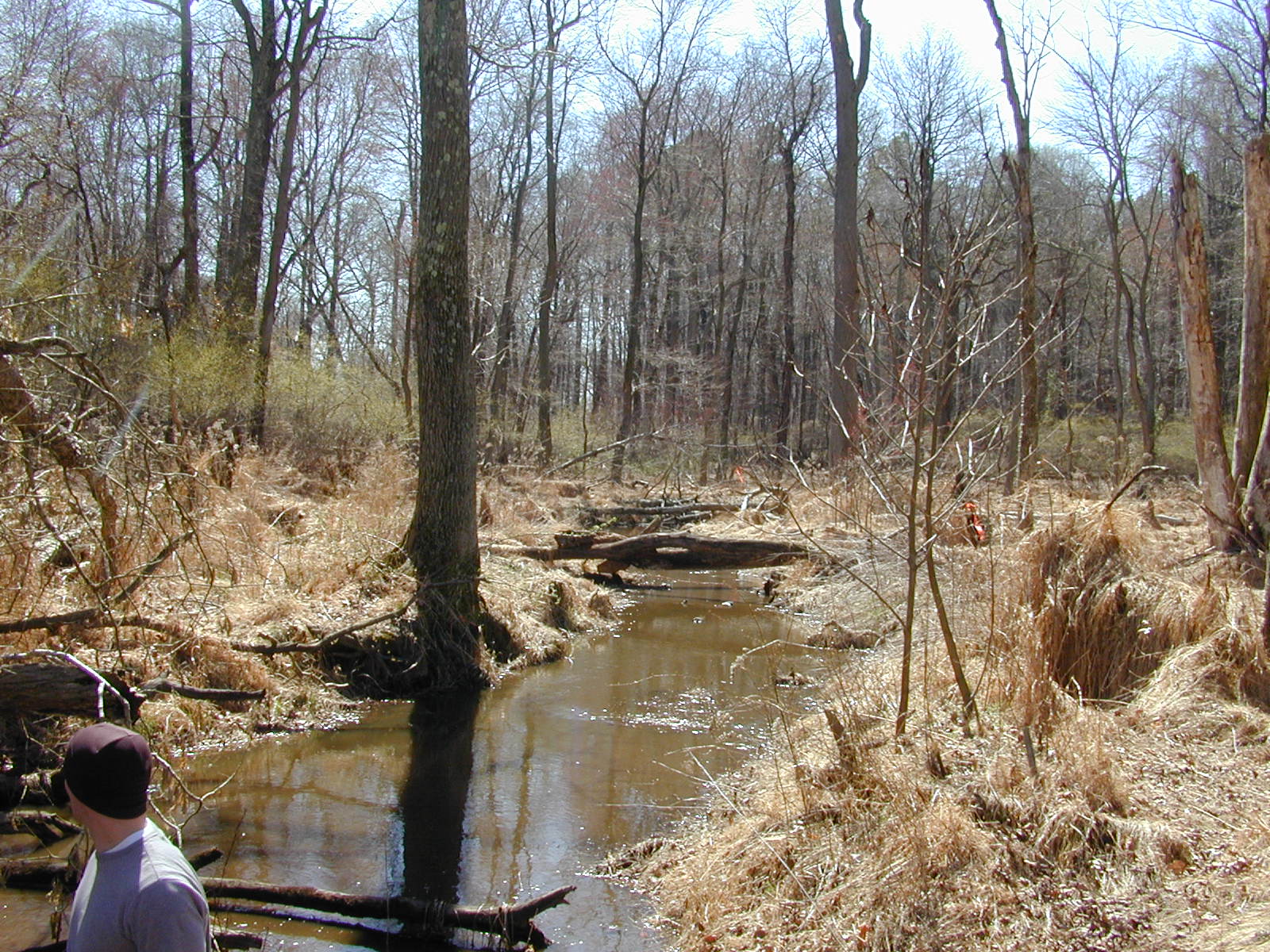 Field photo showing stream conditions at site LOCR-102-S-2002-1
