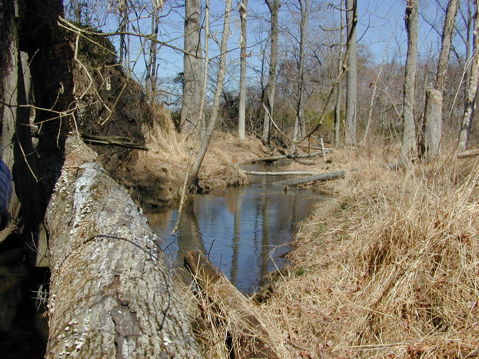 Field photo showing stream conditions at site LOCR-102-S-2002-2