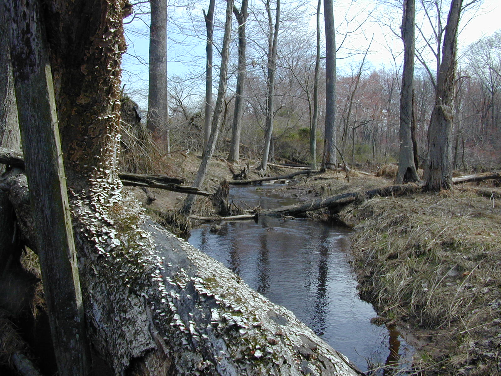 Field photo showing stream conditions at site LOCR-102-S-2003-0971