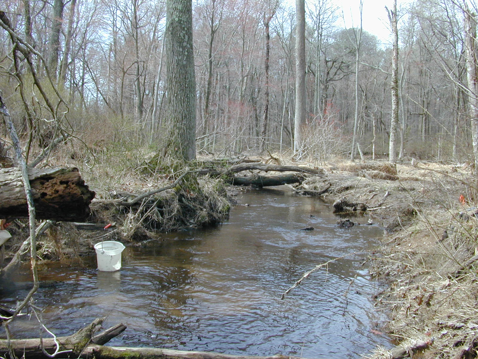 Field photo showing stream conditions at site LOCR-102-S-2003-0972