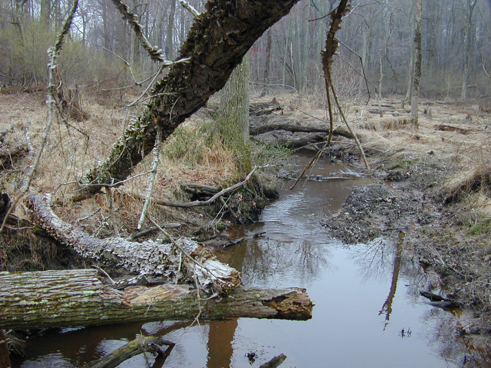 Field photo showing stream conditions at site LOCR-102-S-2004-1