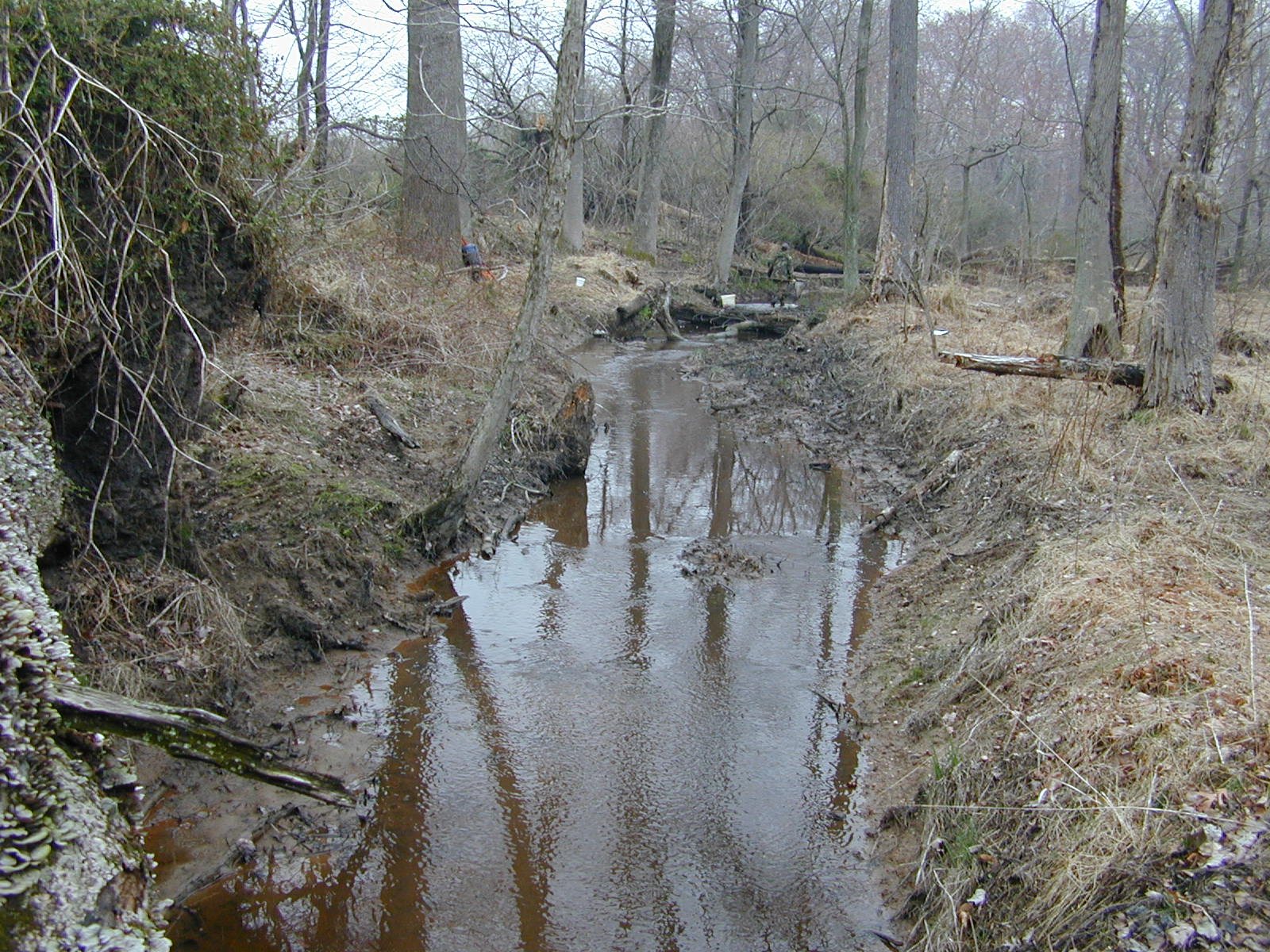 Field photo showing stream conditions at site LOCR-102-S-2004-2