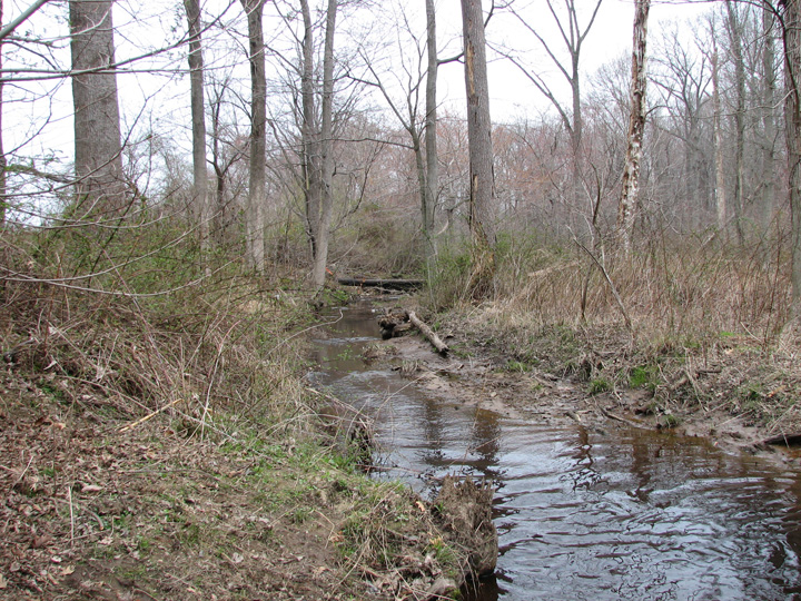 Field photo showing stream conditions at site LOCR-102-S-2007-1