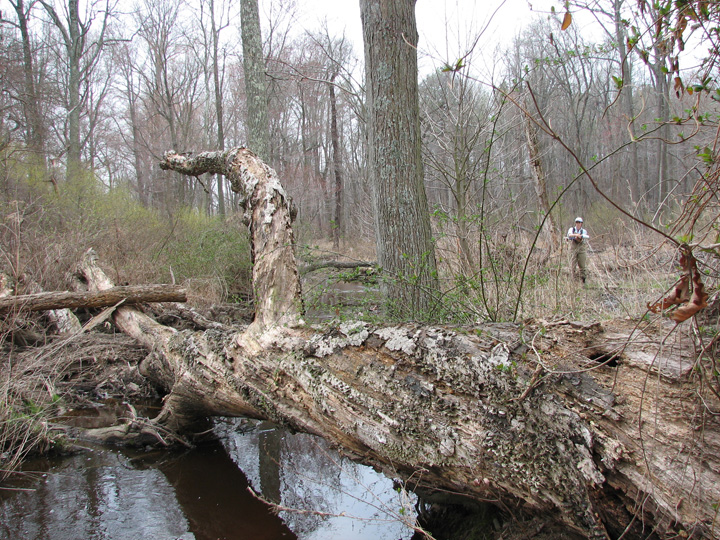 Field photo showing stream conditions at site LOCR-102-S-2007-2