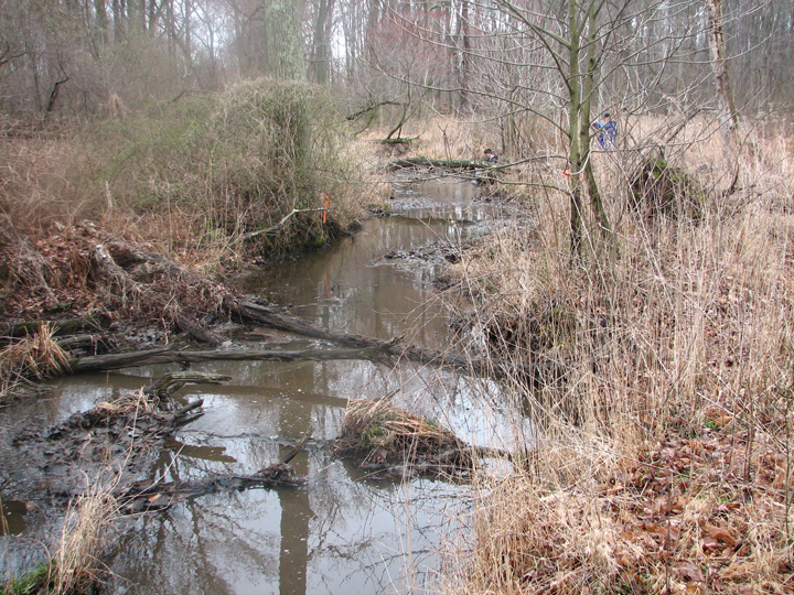 Field photo showing stream conditions at site LOCR-102-S-2008-1