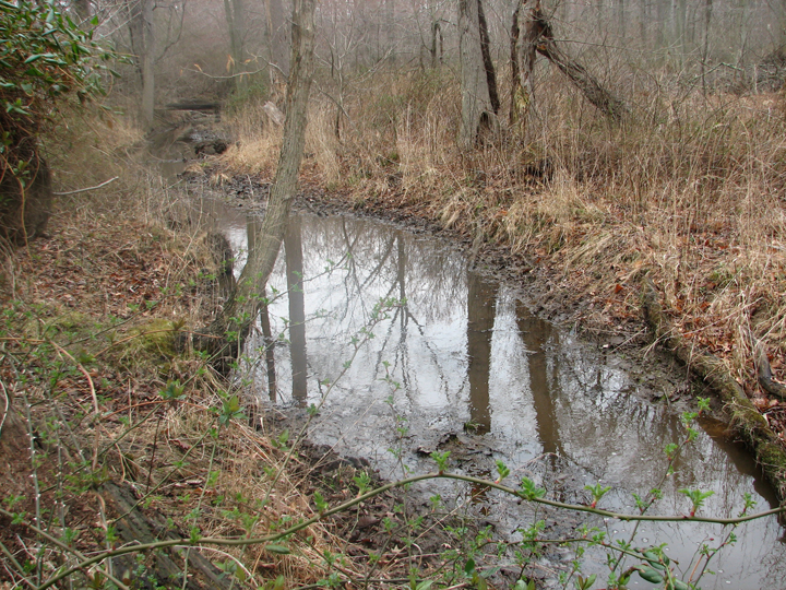 Field photo showing stream conditions at site LOCR-102-S-2008-2