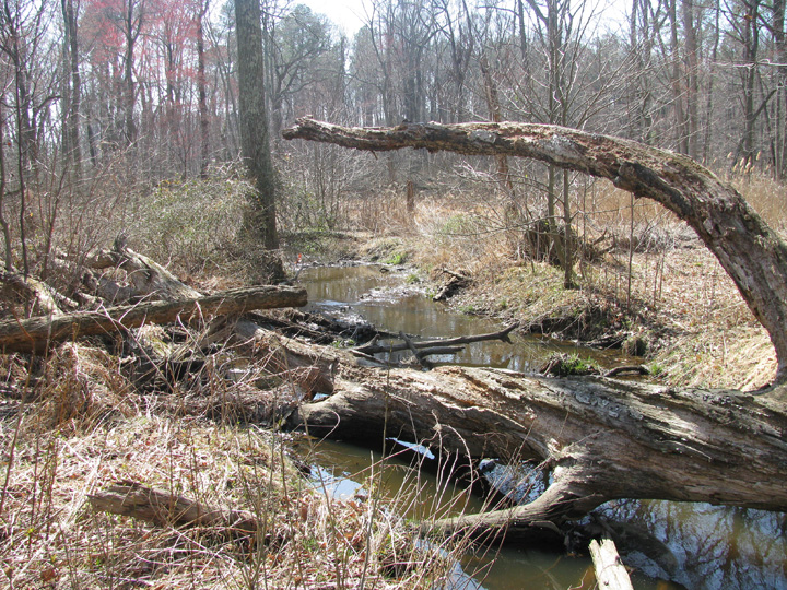 Field photo showing stream conditions at site LOCR-102-S-2009-1