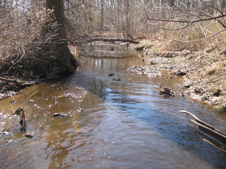 Field photo showing stream conditions at site LOCR-102-S-2011-1