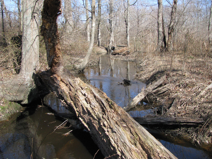 Field photo showing stream conditions at site LOCR-102-S-2011-2