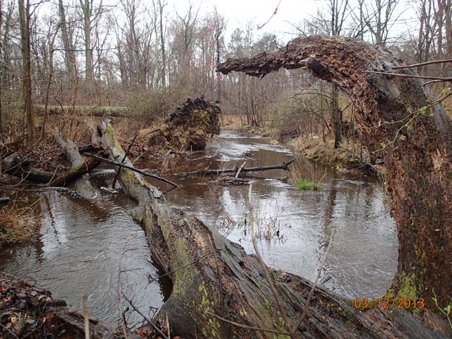 Field photo showing stream conditions at site LOCR-102-S-2013-MidpointPdownstream