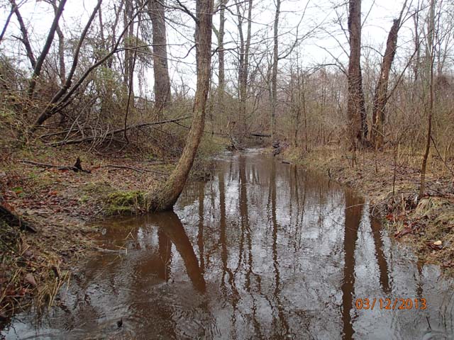 Field photo showing stream conditions at site LOCR-102-S-2013-MidpointPupstream