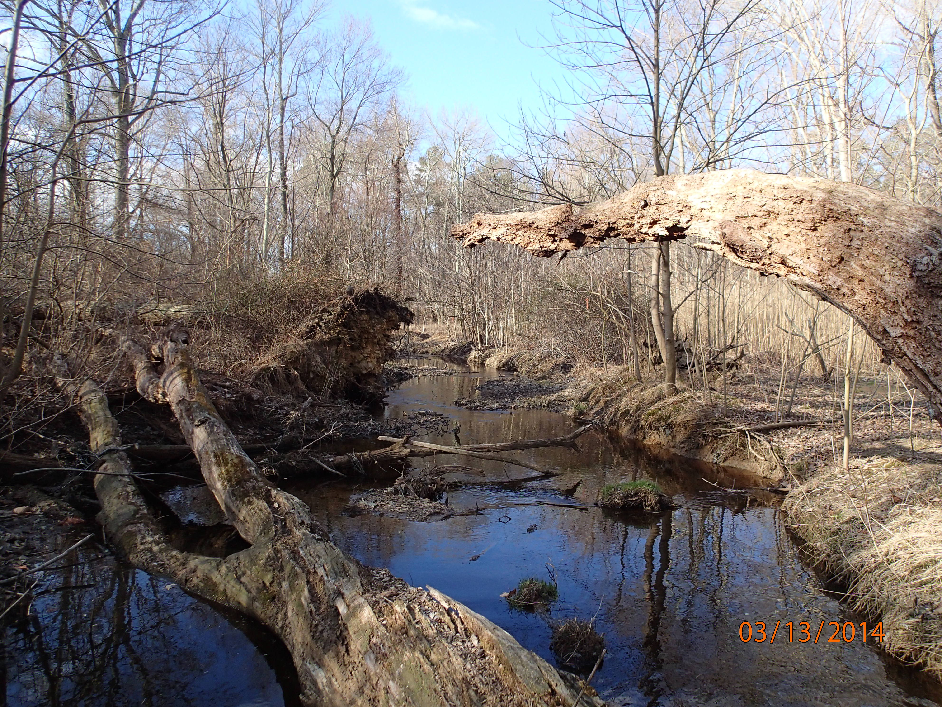 Field photo showing stream conditions at site LOCR-102-S-2014-MidpointDownstream