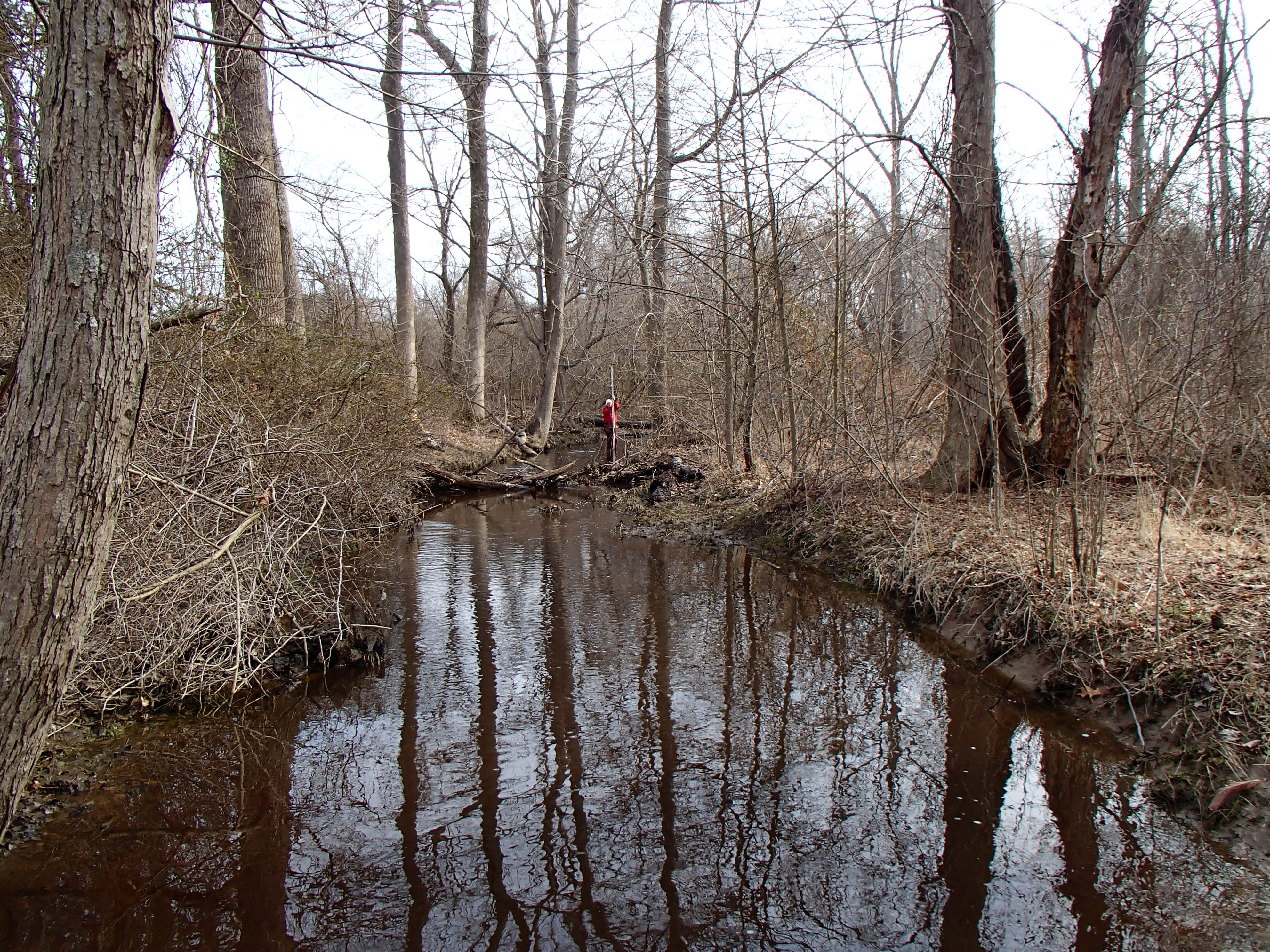 Field photo showing stream conditions at site LOCR-102-S-2015_Midpoint-looking-upstream