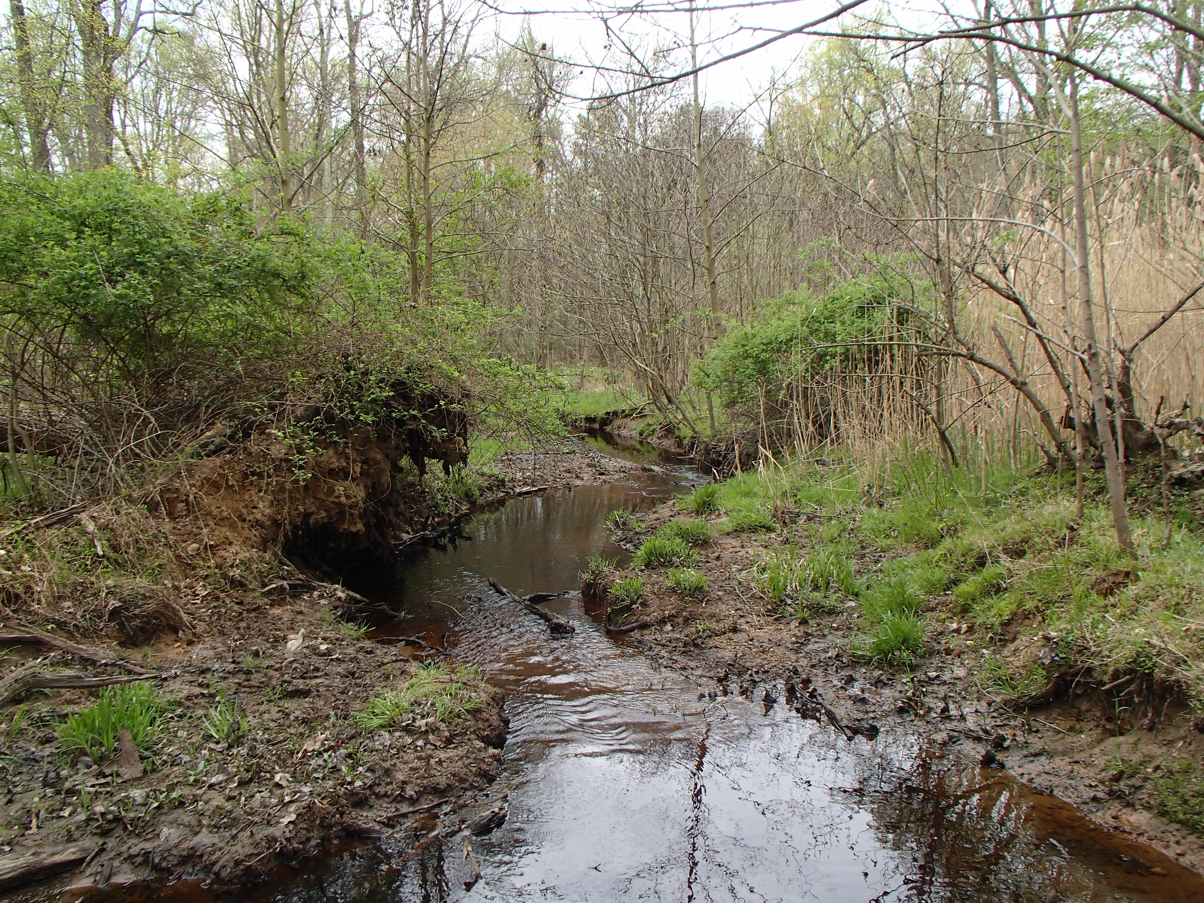 Field photo showing stream conditions at site LOCR-102-S-2017-DownstreamFromMidpoint