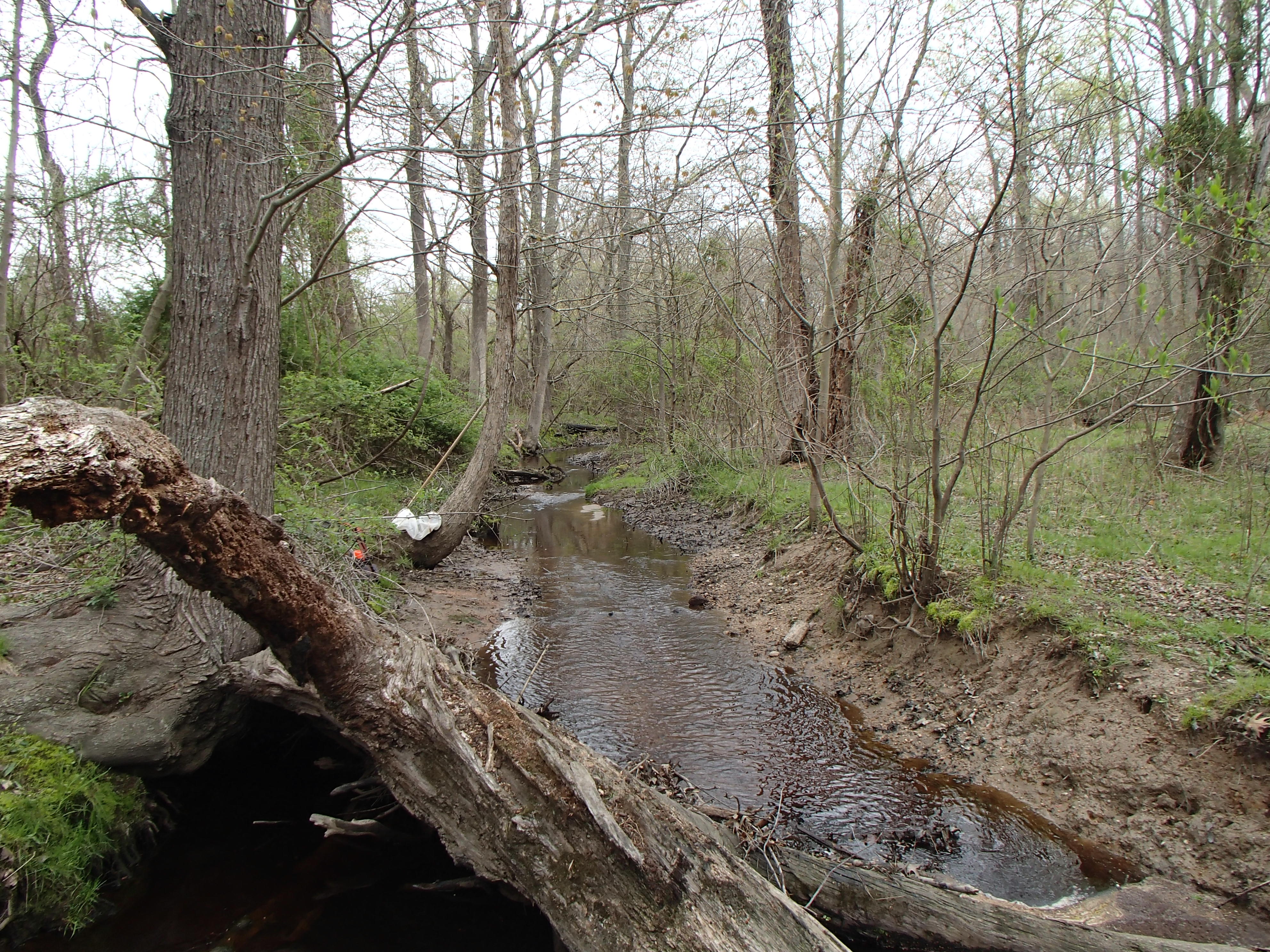 Field photo showing stream conditions at site LOCR-102-S-2017-UpstreamFromMidpoint