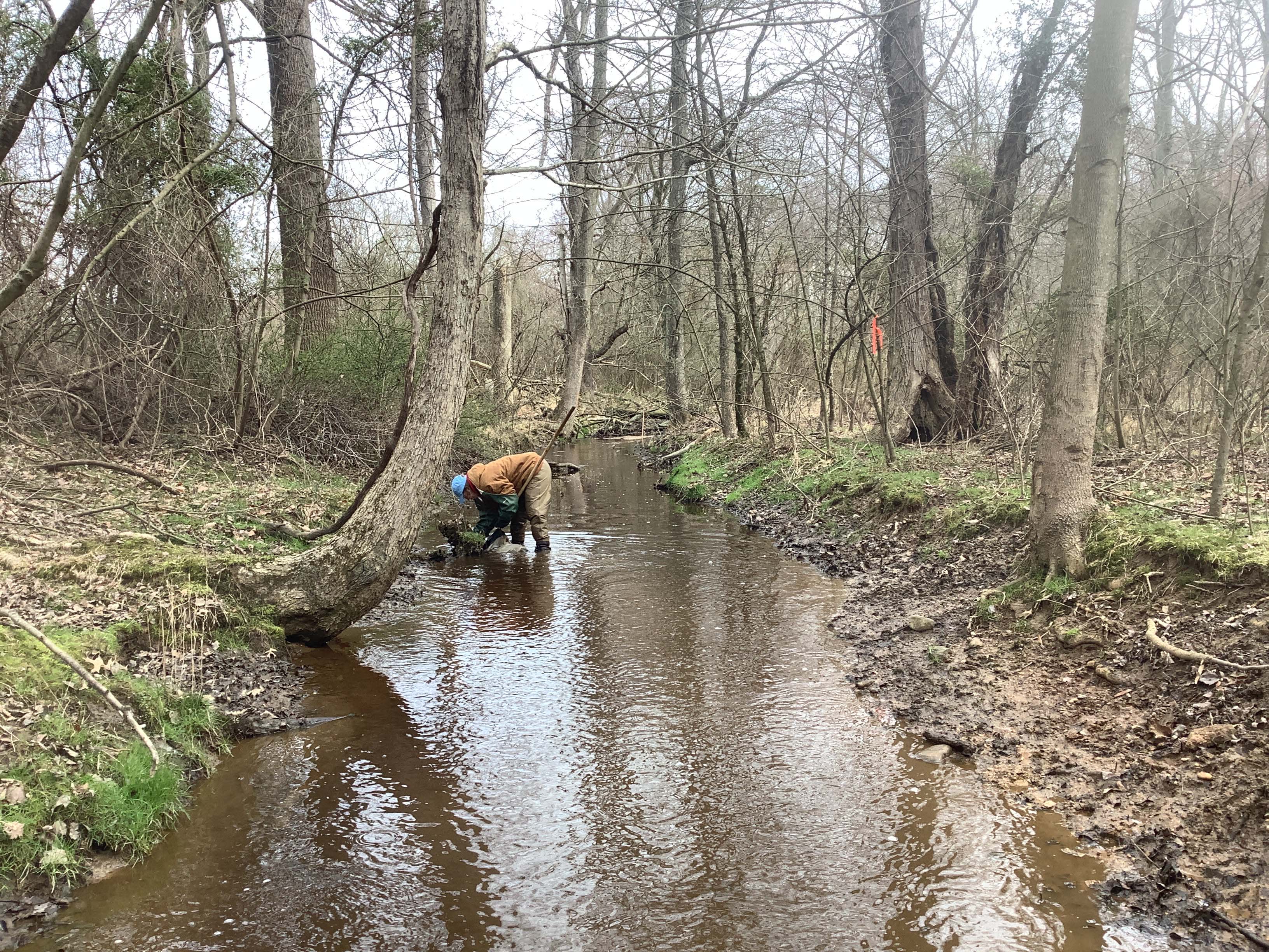Field photo showing stream conditions at site LOCR-102-S-2023-MidpointLookingUpstream