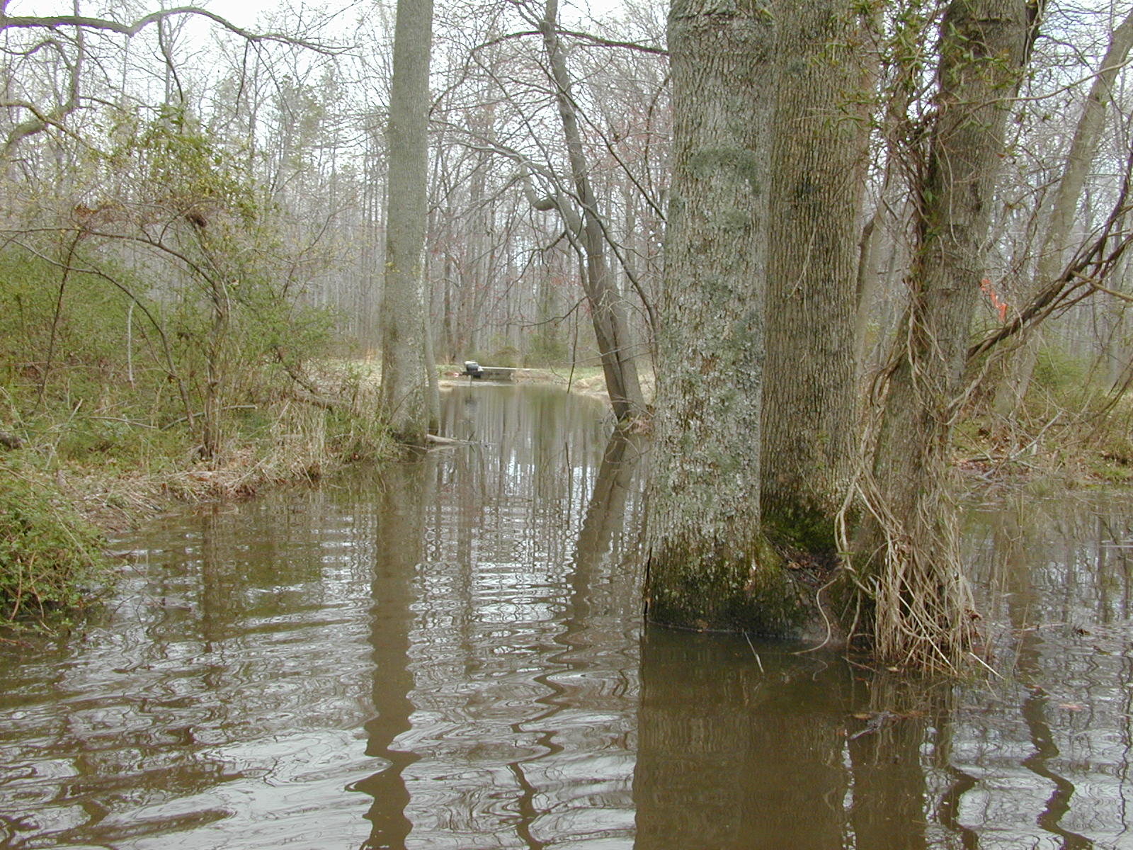 Field photo showing stream conditions at site LOCR-110-R-2002-1