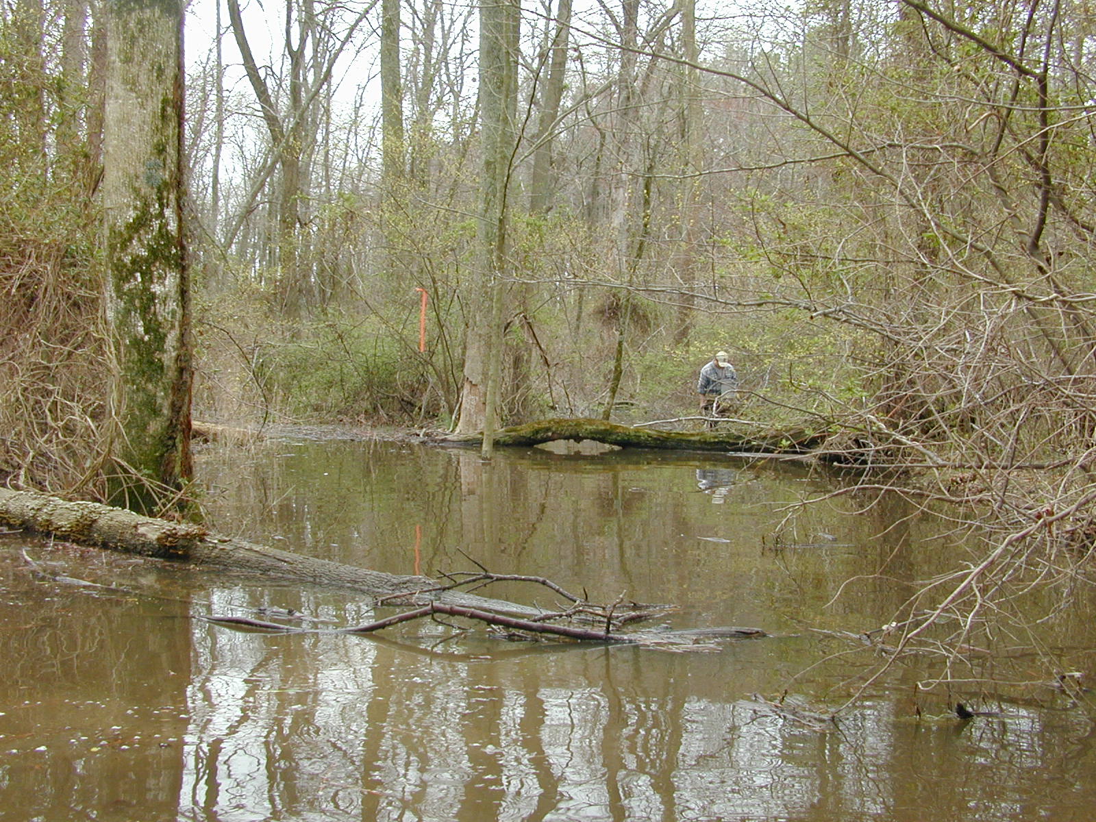 Field photo showing stream conditions at site LOCR-110-R-2002-2