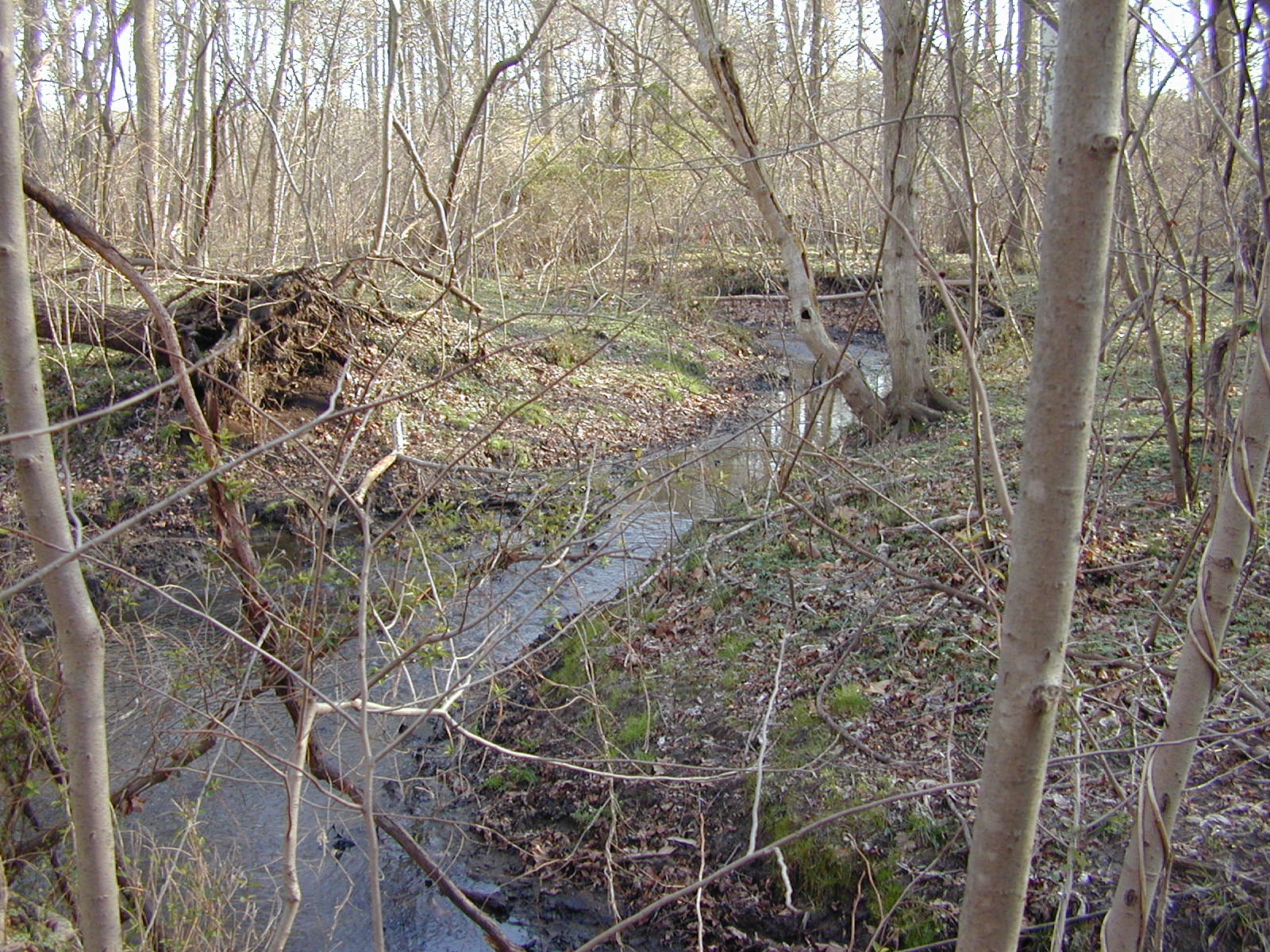 Field photo showing stream conditions at site LOCR-114-R-2002-1