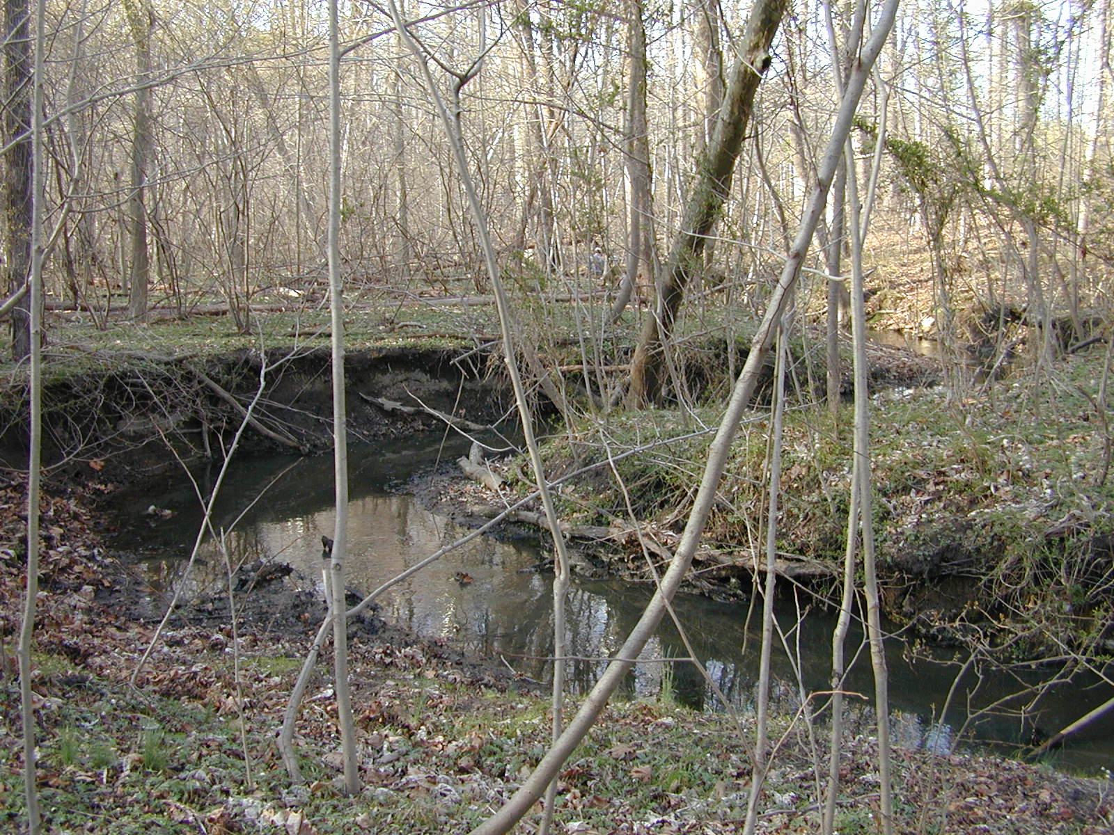 Field photo showing stream conditions at site LOCR-114-R-2002-2