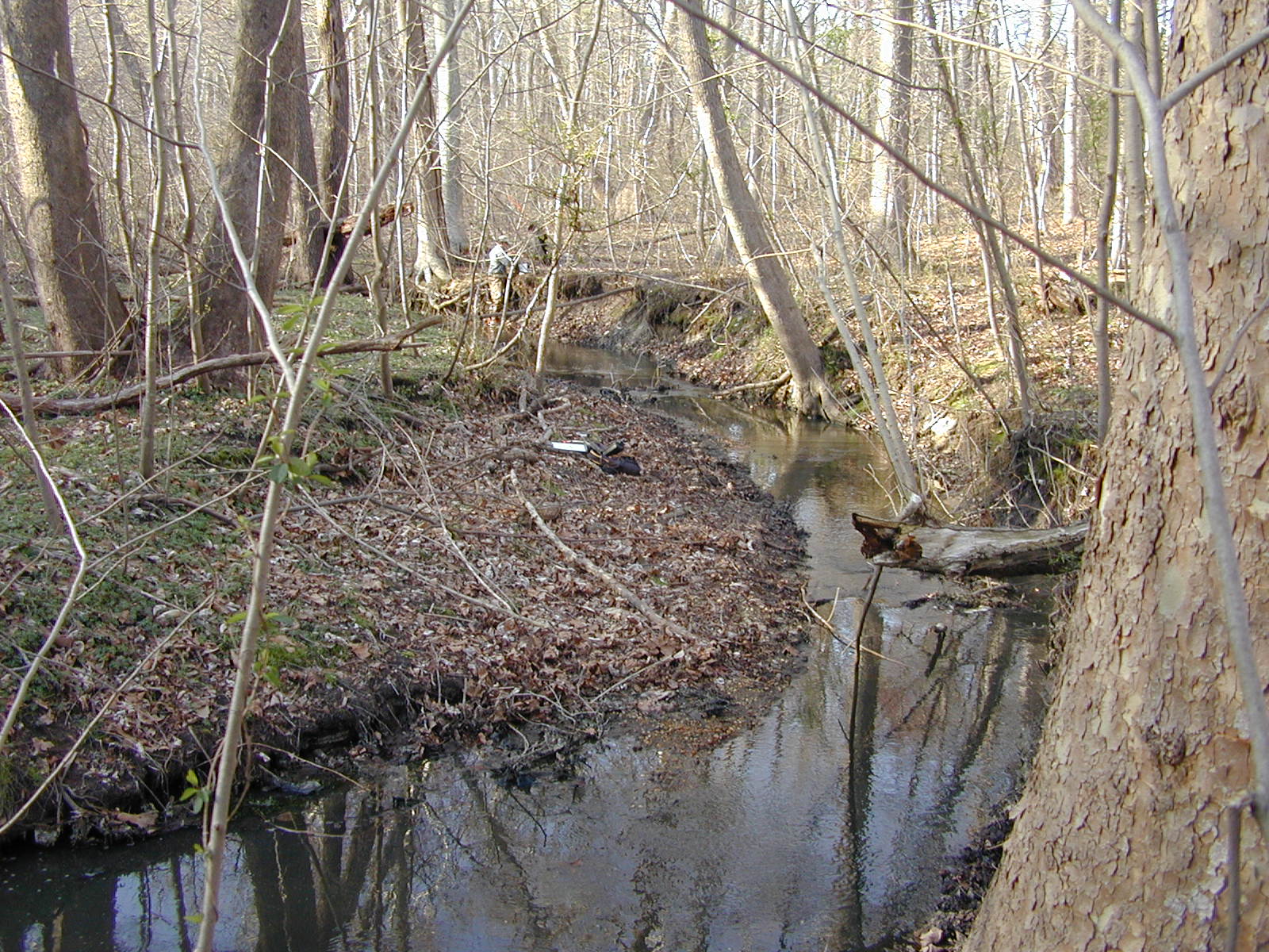 Field photo showing stream conditions at site LOCR-114-R-2002-3