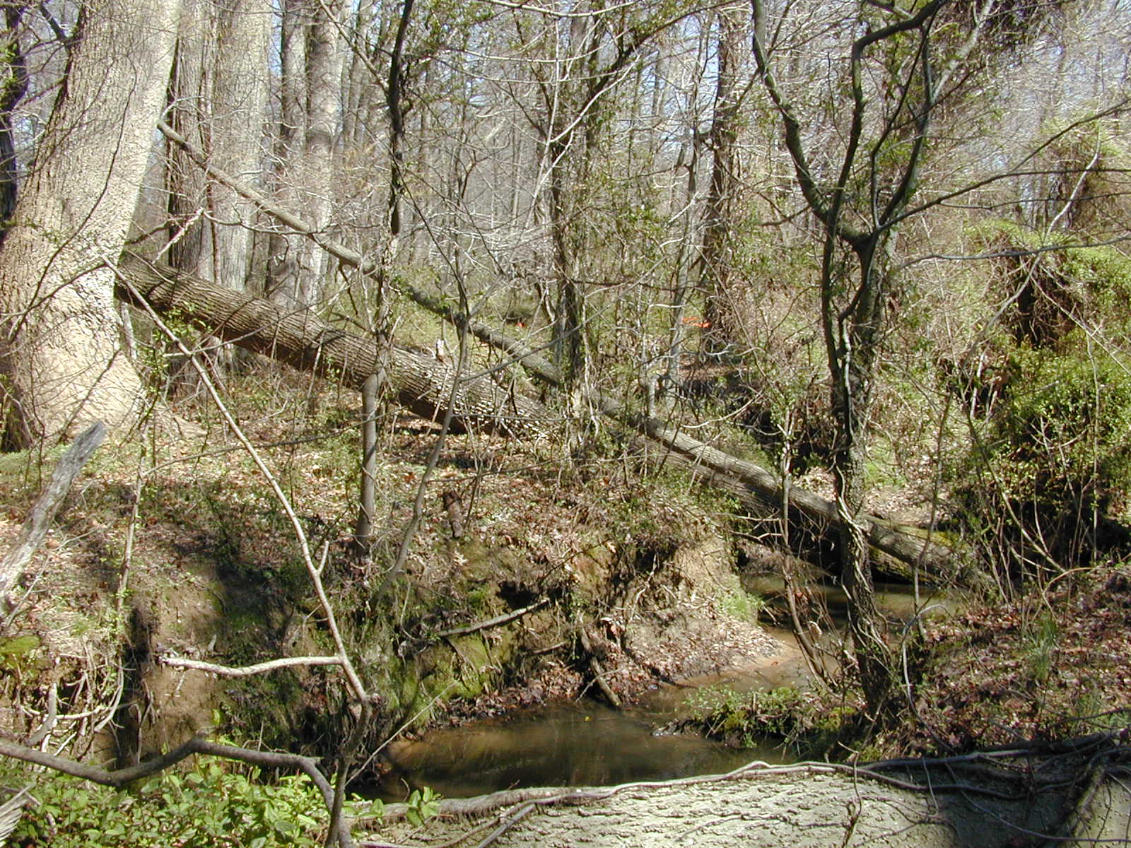 Field photo showing stream conditions at site LOCR-116-R-2002-1