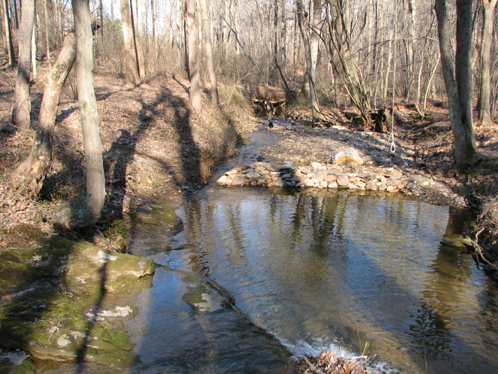 Field photo showing stream conditions at site LOGU-101-R-2007-1