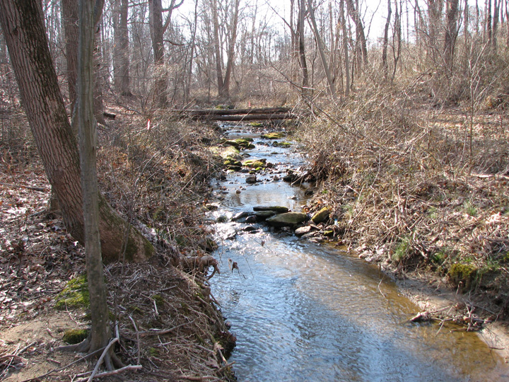 Field photo showing stream conditions at site LOGU-101-R-2007-2
