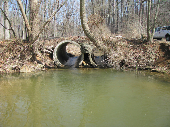 Field photo showing stream conditions at site LOGU-101-X-2011-1