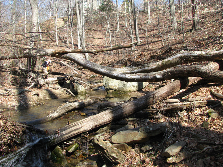 Field photo showing stream conditions at site LOGU-102-X-2011-1