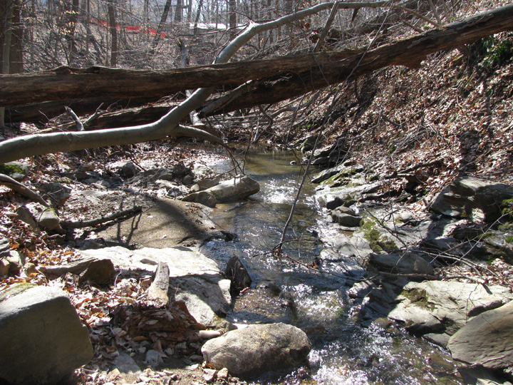 Field photo showing stream conditions at site LOGU-102-X-2011-2