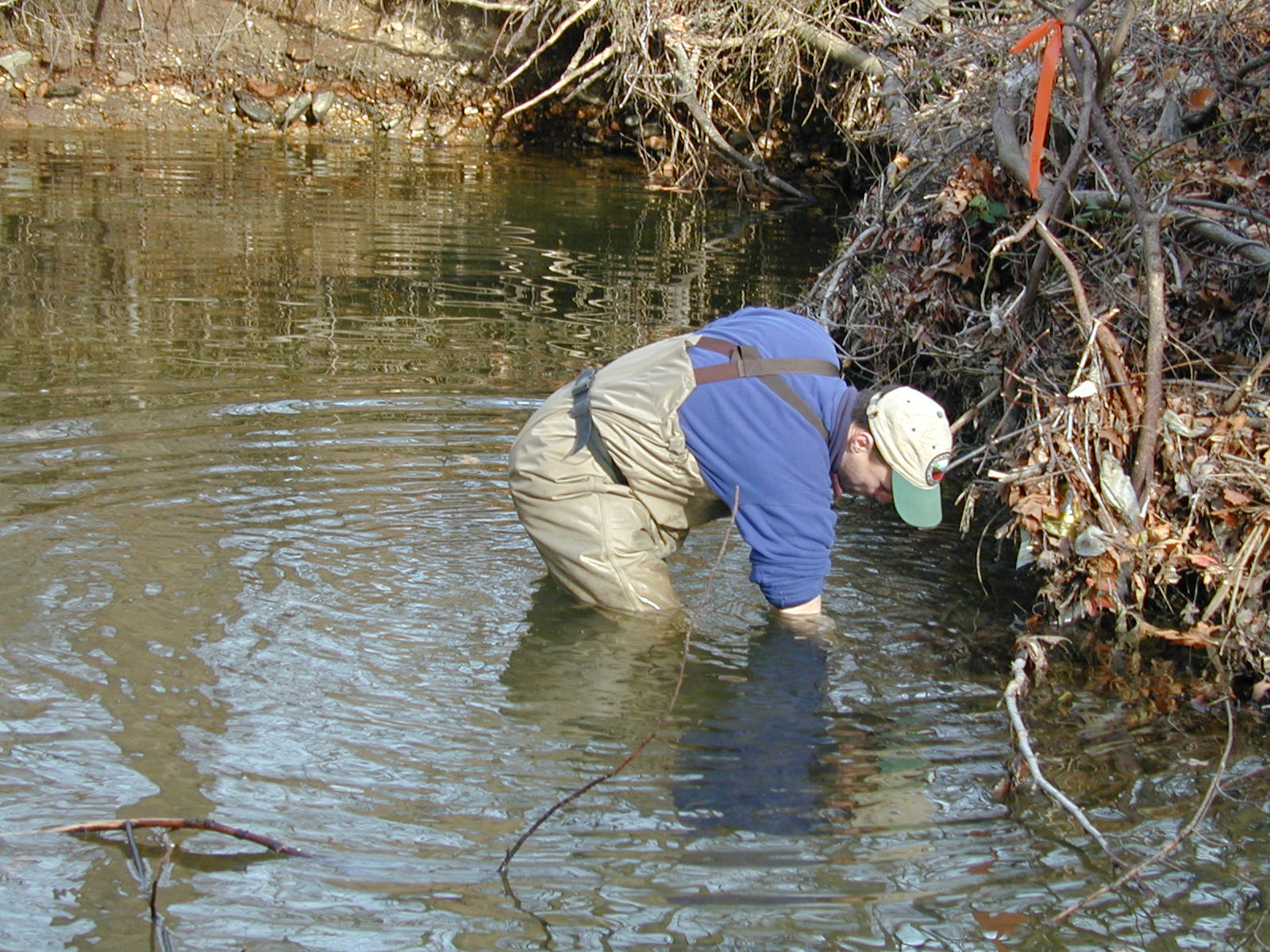 Field photo showing stream conditions at site LOGU-103-R-2002-363