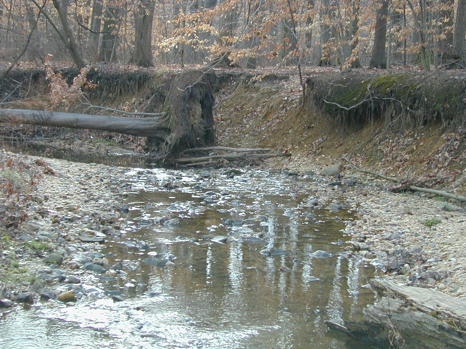 Field photo showing stream conditions at site LOGU-103-R-2002-364