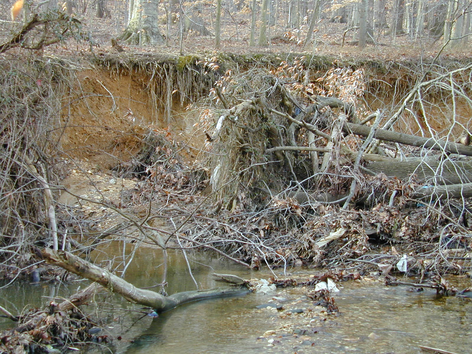 Field photo showing stream conditions at site LOGU-103-R-2002-365