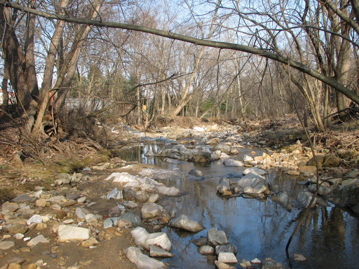 Field photo showing stream conditions at site LOGU-104-R-2007-1