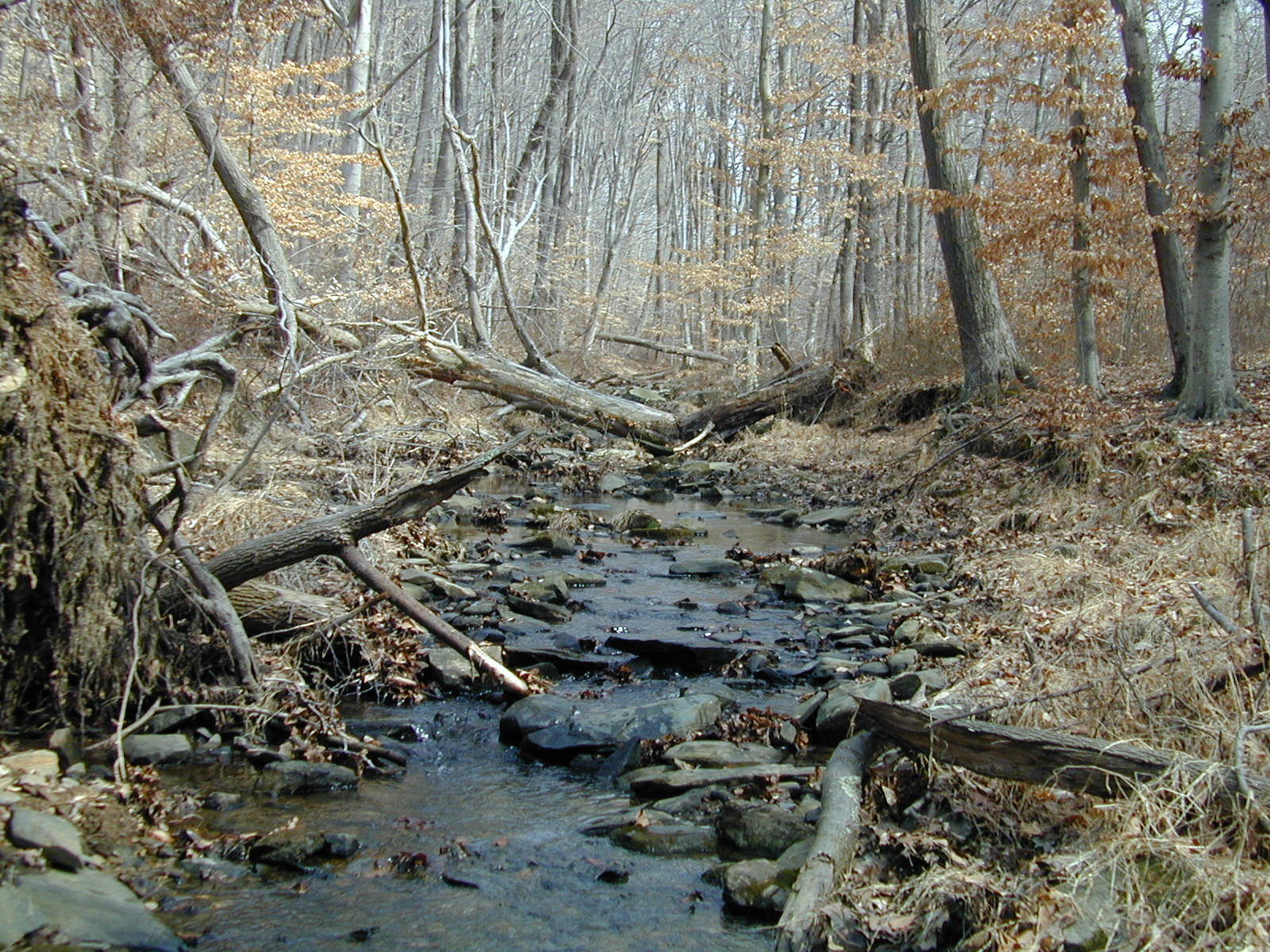 Field photo showing stream conditions at site LOGU-106-R-2002-366