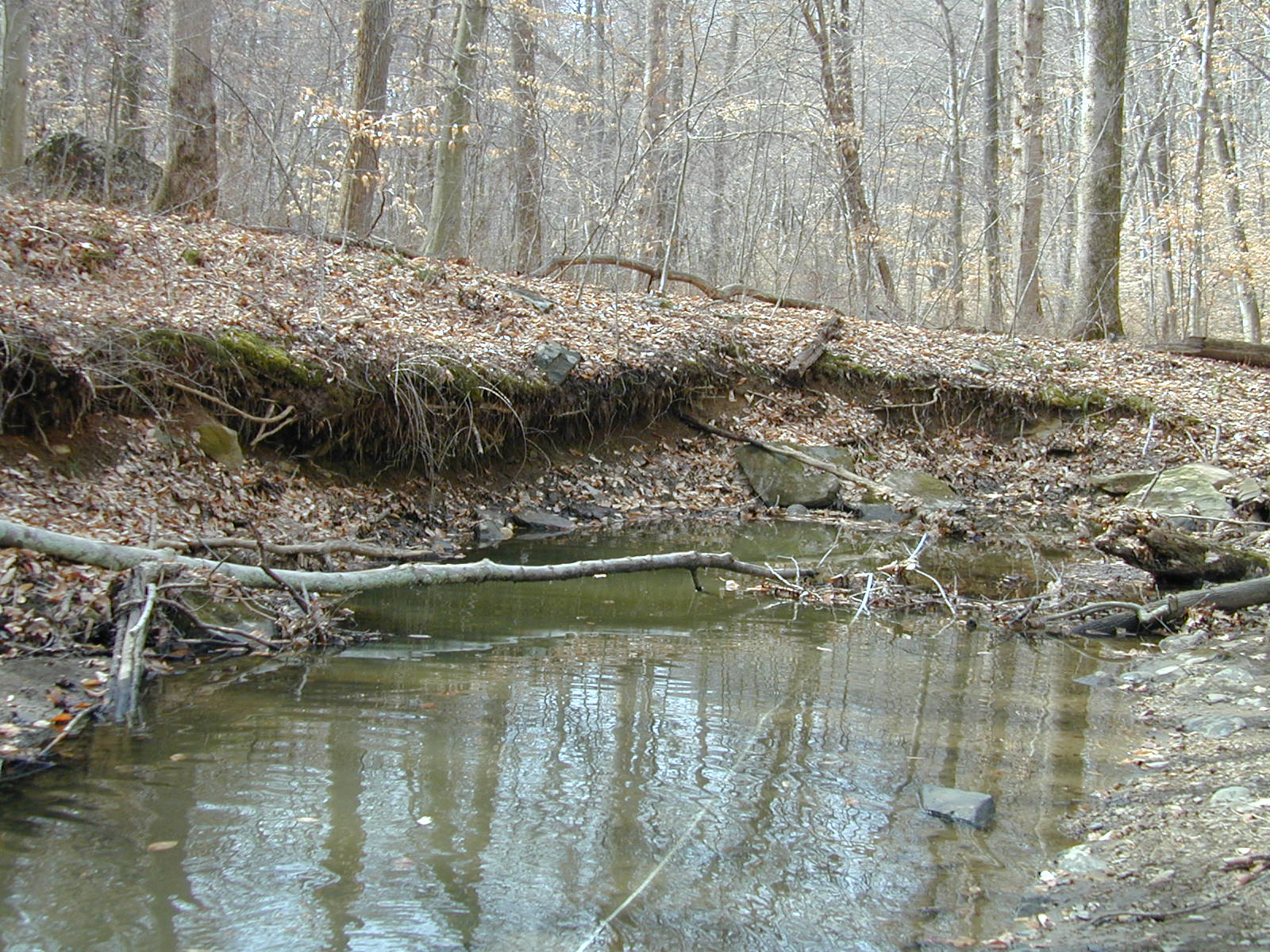 Field photo showing stream conditions at site LOGU-106-R-2002-367