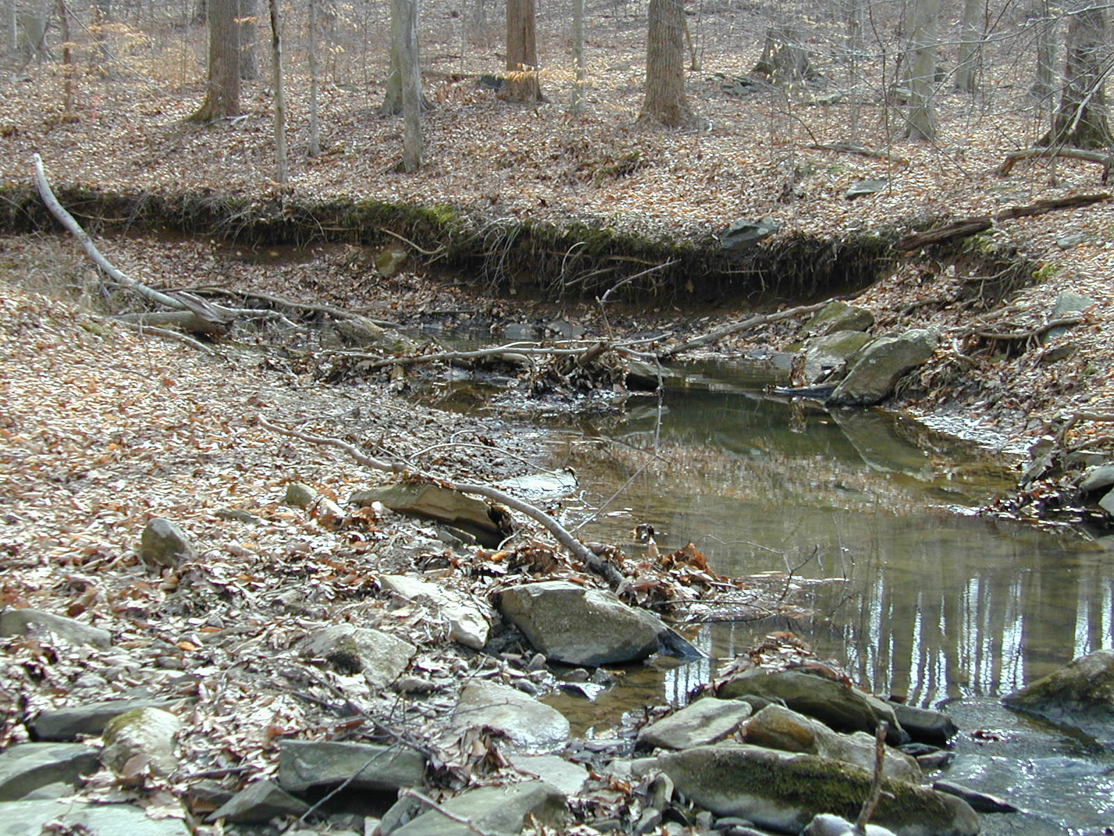 Field photo showing stream conditions at site LOGU-106-R-2002-368