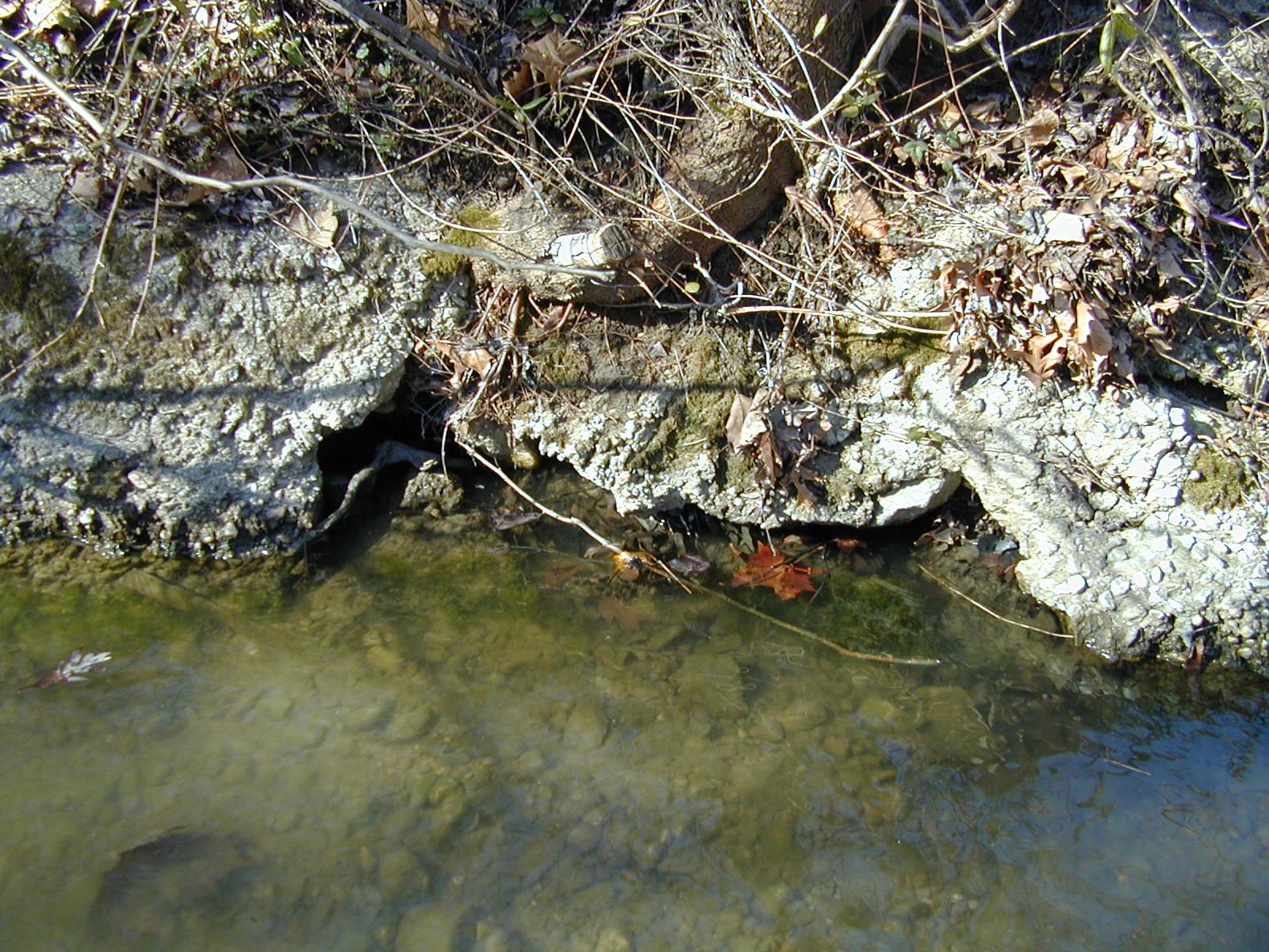 Field photo showing stream conditions at site LOGU-108-R-2002-359