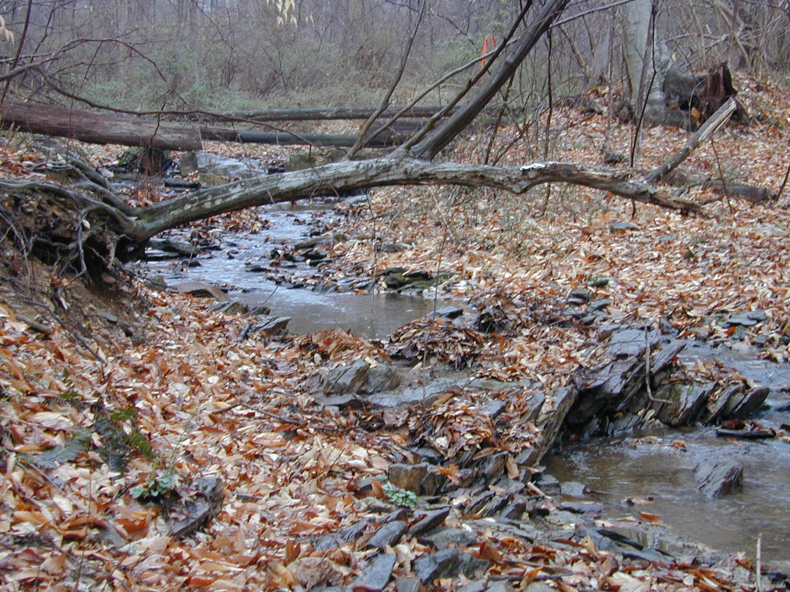 Field photo showing stream conditions at site LOGU-109-R-2002-465