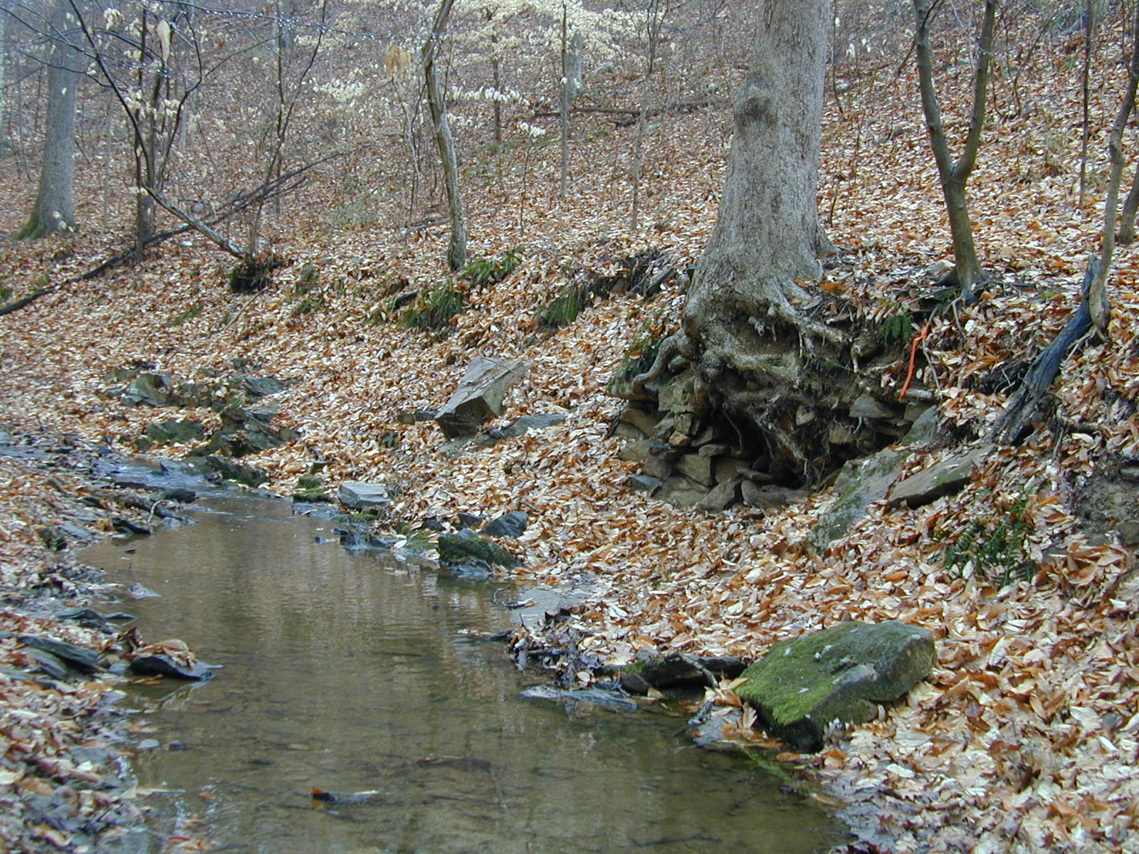 Field photo showing stream conditions at site LOGU-109-R-2002-466