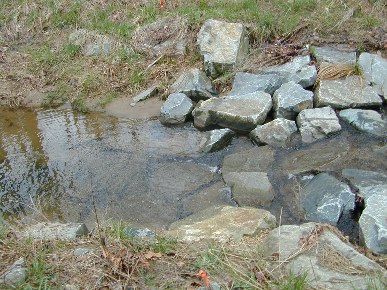 Field photo showing stream conditions at site LOGU-190-M-2003-789