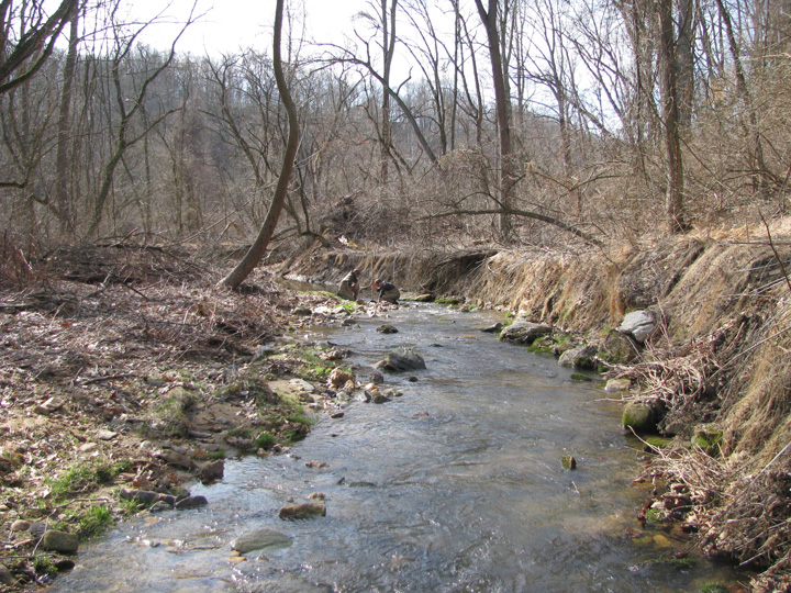 Field photo showing stream conditions at site LOGU-201-X-2011-1