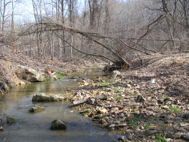 Field photo showing stream conditions at site LOGU-201-X-2011-2