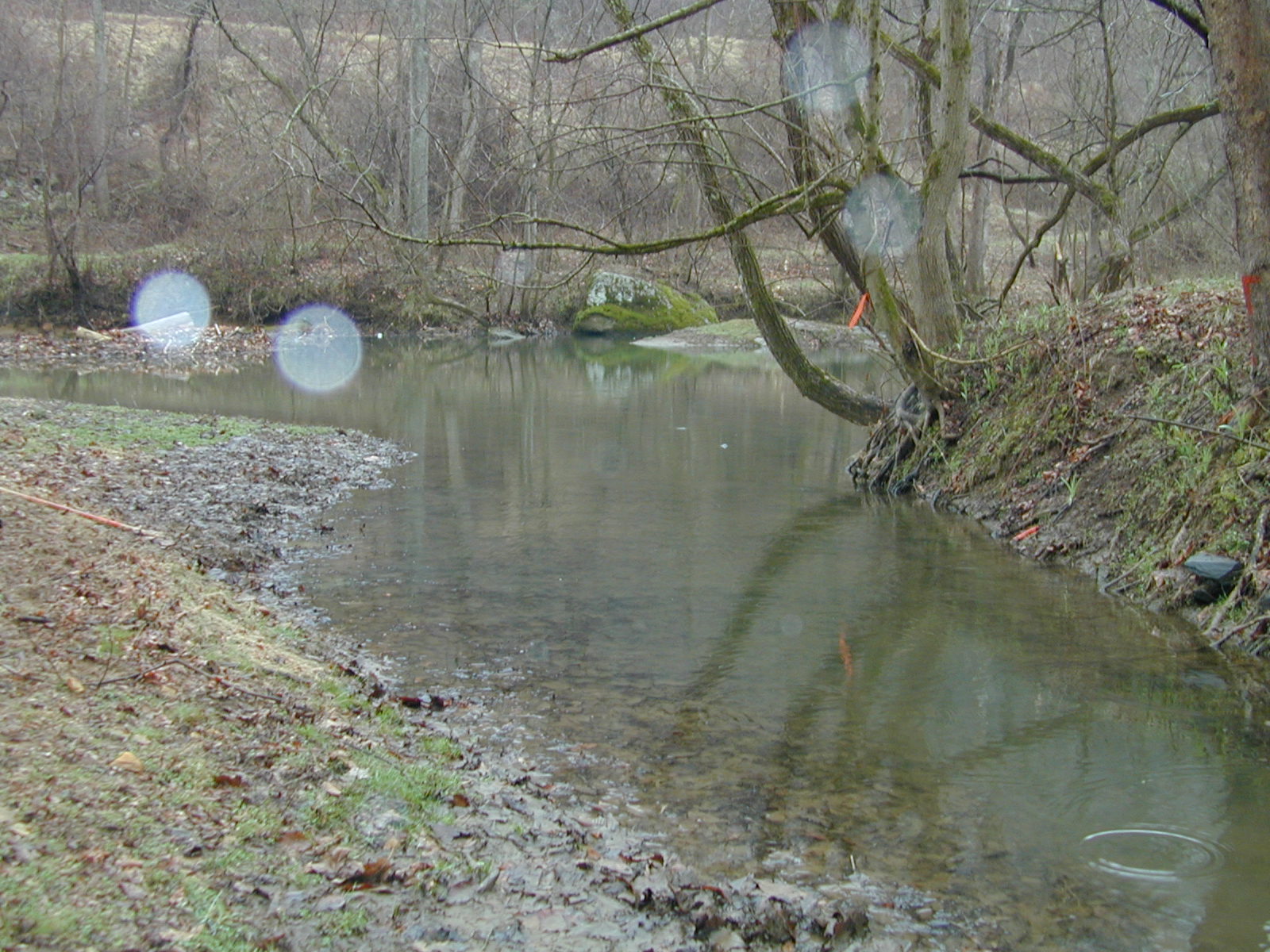 Field photo showing stream conditions at site LOGU-202-R-2002-467
