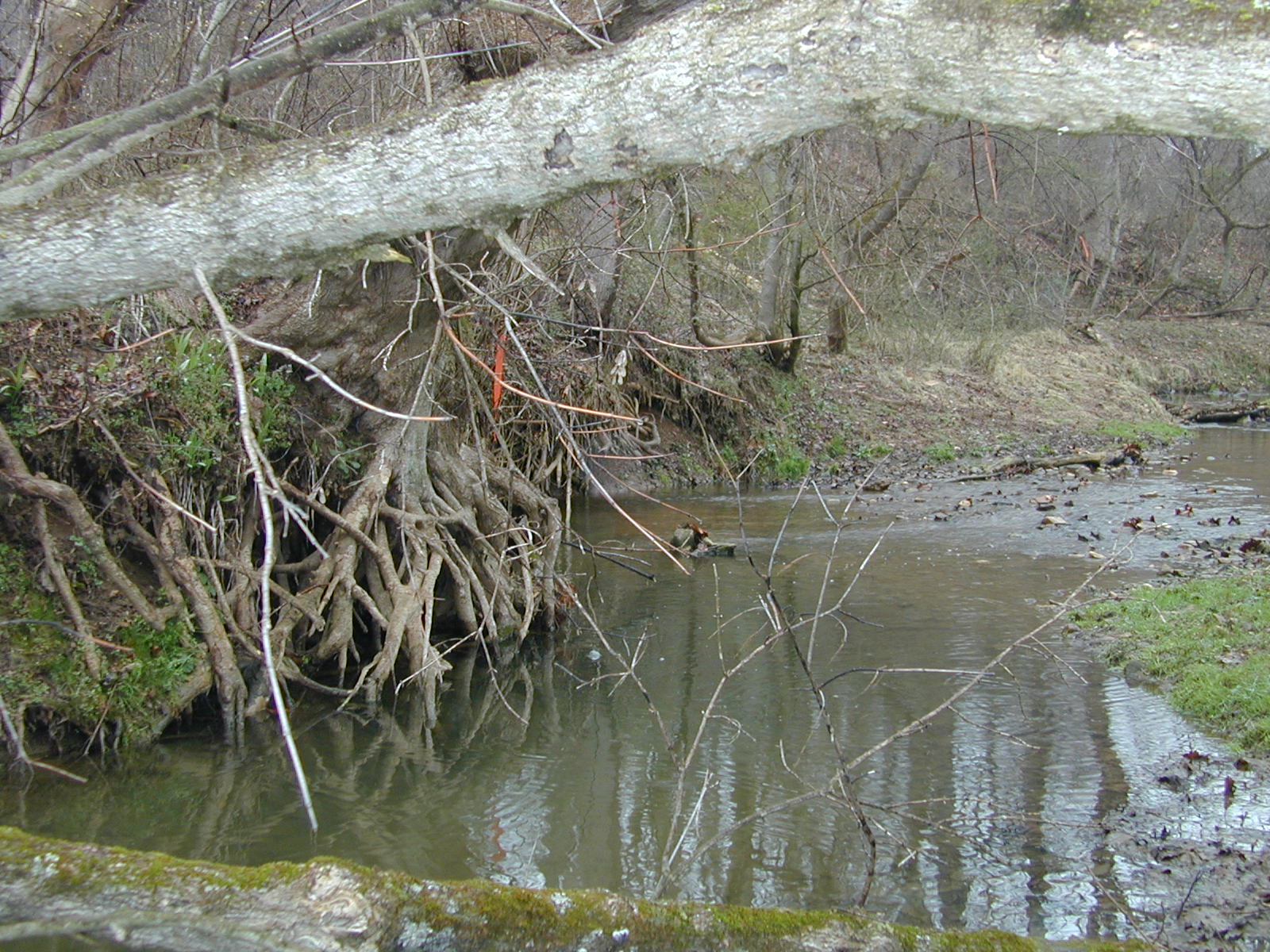 Field photo showing stream conditions at site LOGU-202-R-2002-468